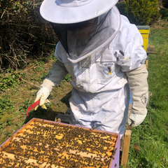 The Businessman on an Un-bee-lievable Mission