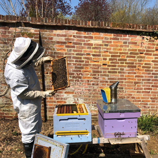 Give the Gift of a Beehive